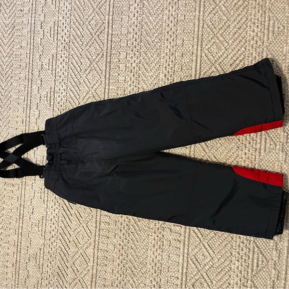 Rodeo Snowbibs - Picture 2 of 5